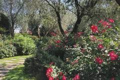 La-Torrazza-Giardino-2